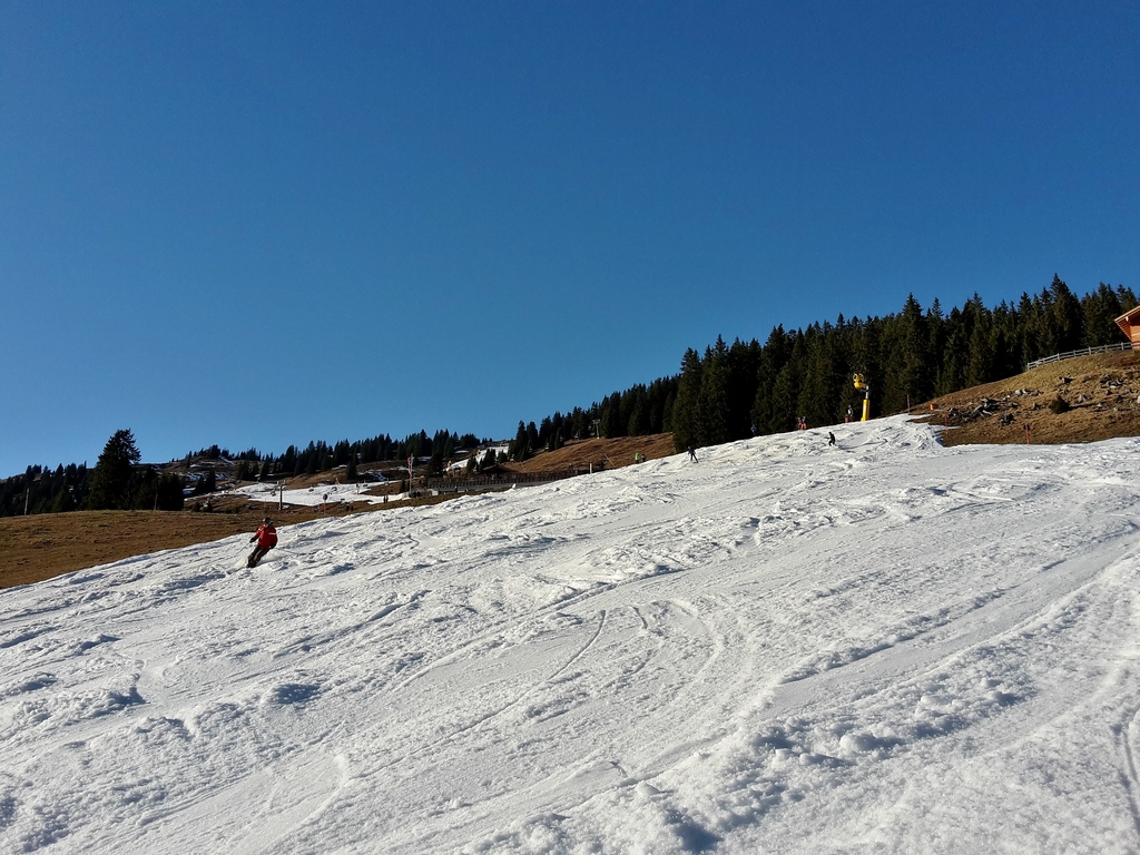 20151229_14473150sgw.jpg