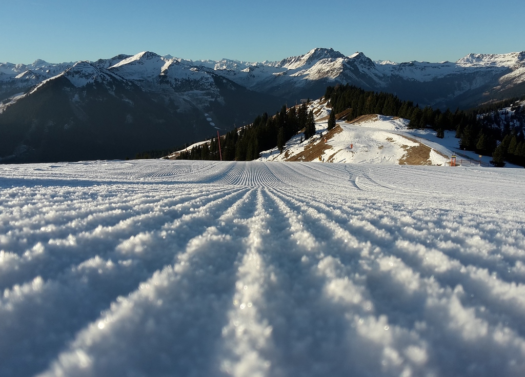 20151230_085542b9scy.jpg