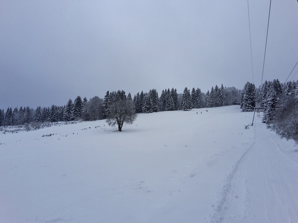 20160116_09395983swd.jpg