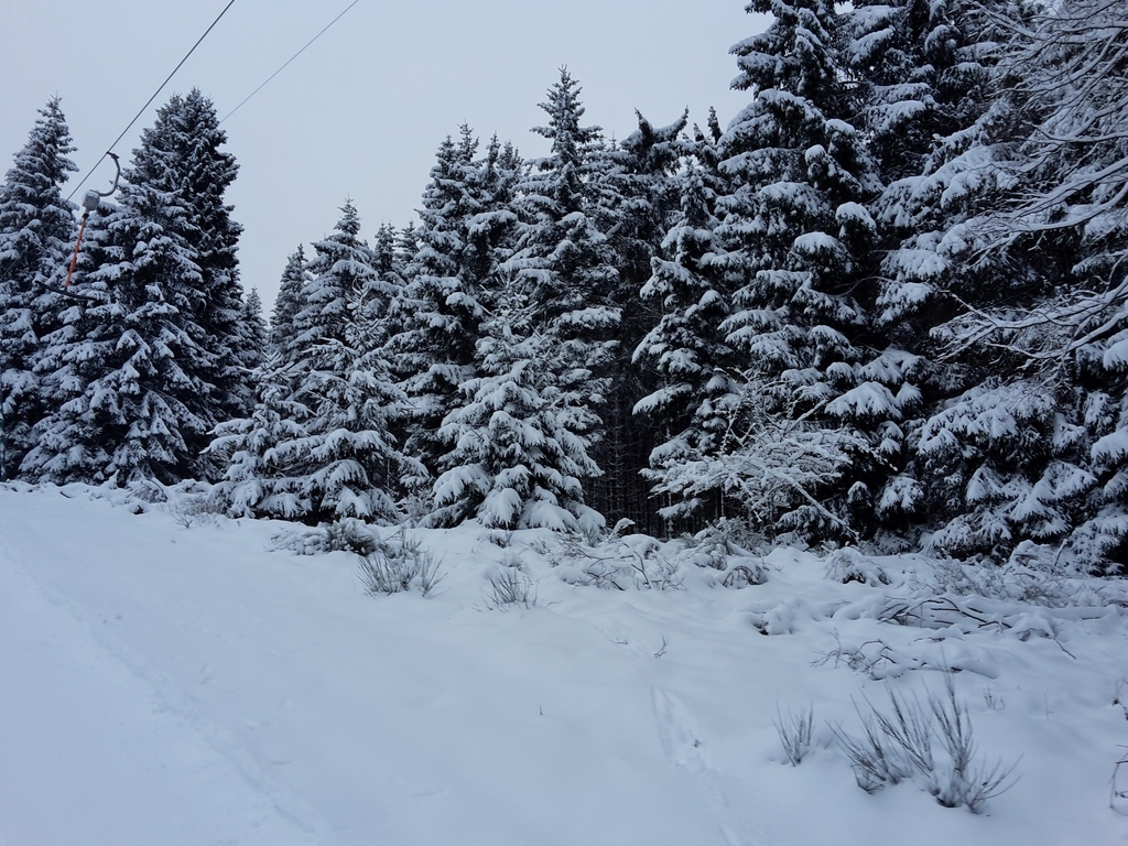 20160116_0953082ms4z.jpg