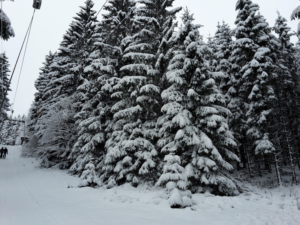 20160116_095340a0ss8.jpg