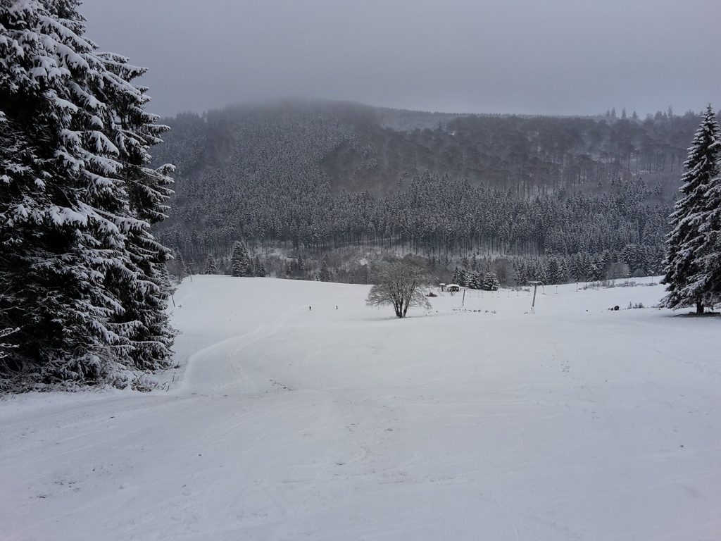 20160116_100029mvqs8.jpg