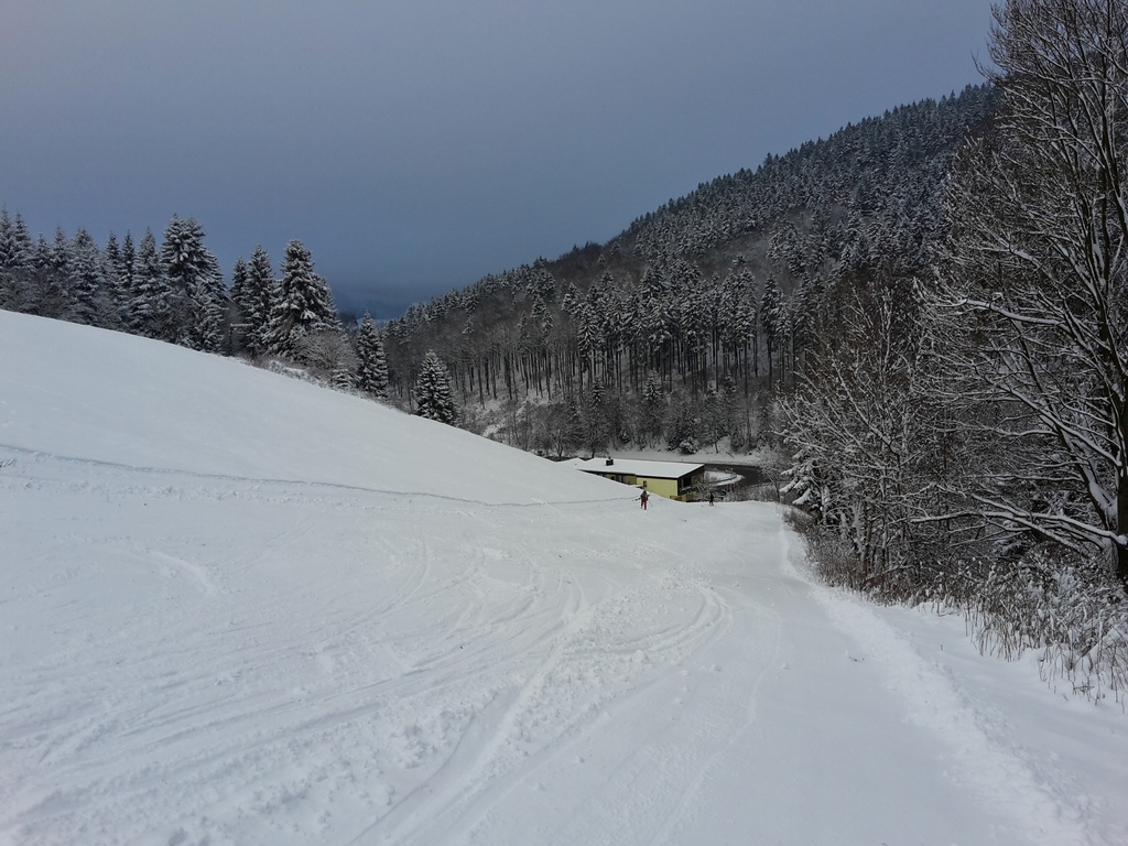 20160116_1008053dso4.jpg