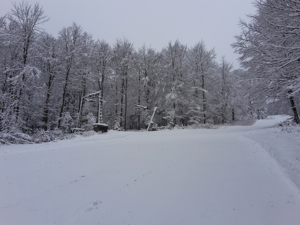 20160116_103603yoszm.jpg