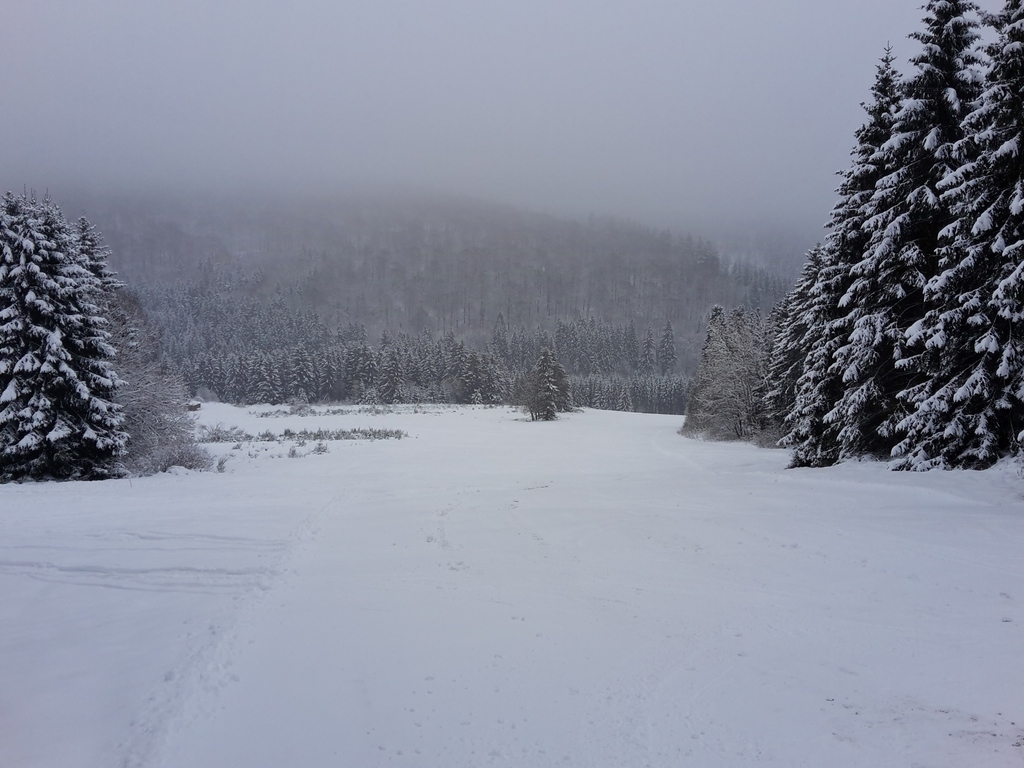 20160116_103612y7s73.jpg