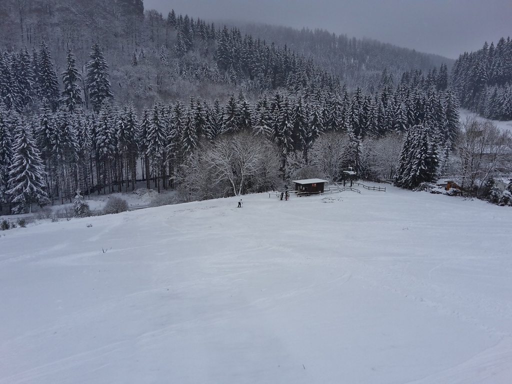 20160116_1037232pslz.jpg