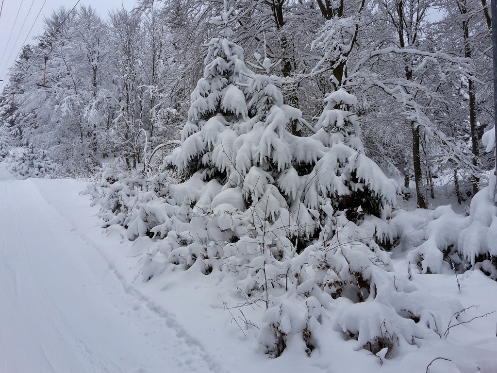 20160116_11060185srf.jpg