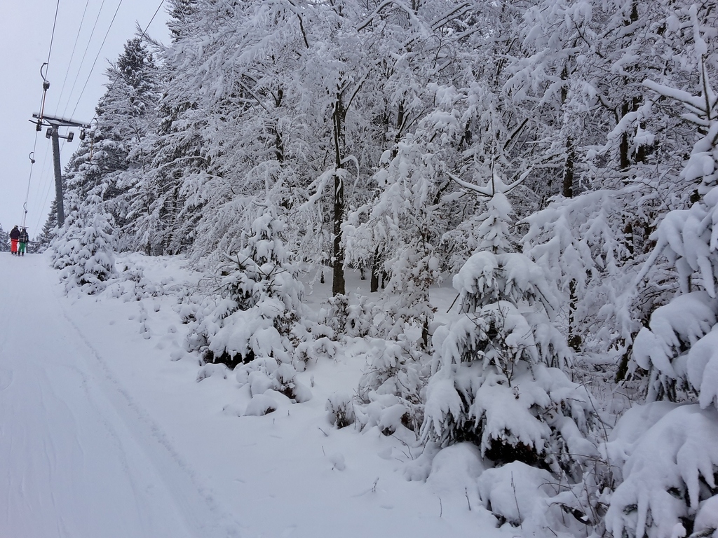 20160116_110631m9sju.jpg