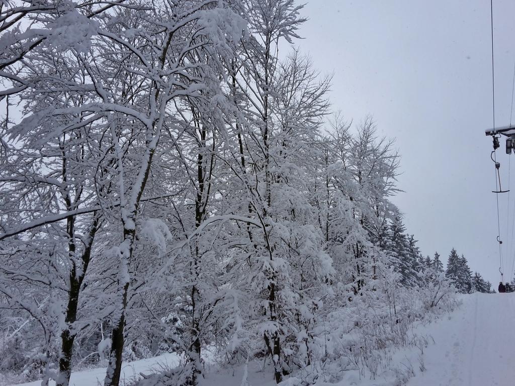 20160116_110639yps9i.jpg