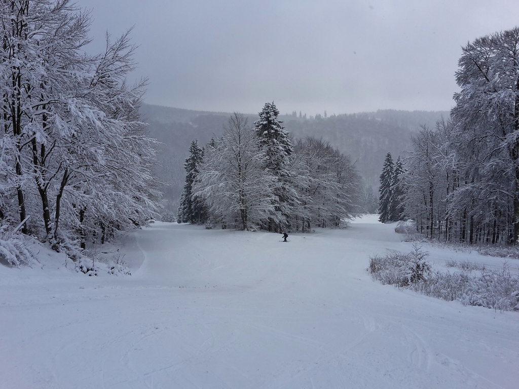 20160116_110756g4qq3.jpg