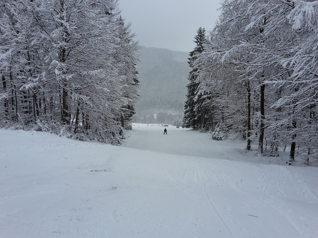 20160116_110817e9ogo.jpg