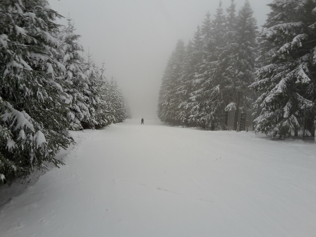 20160116_154519a7zko.jpg