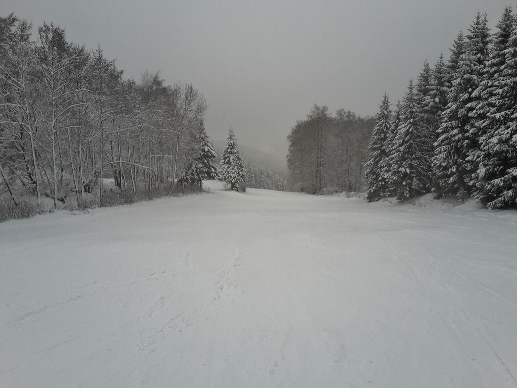 20160116_154738d6b14.jpg