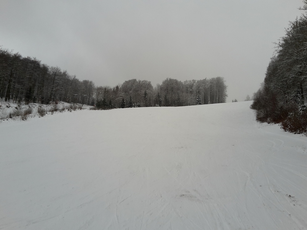 20160116_160233cll2s.jpg