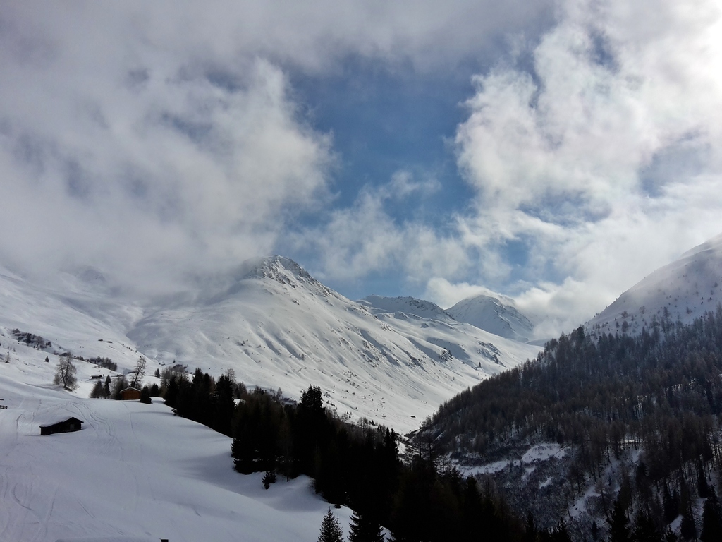 20160227_110427qhsi4.jpg