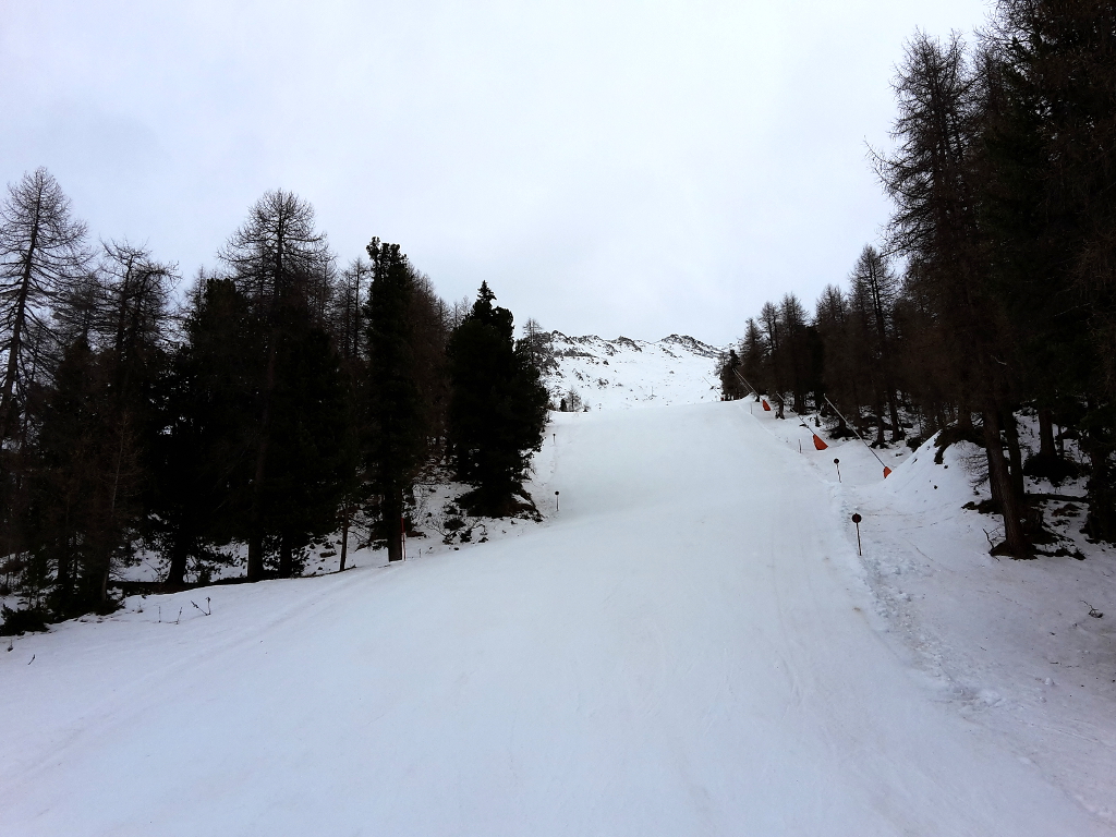 20161124_134031e3sy1.jpg