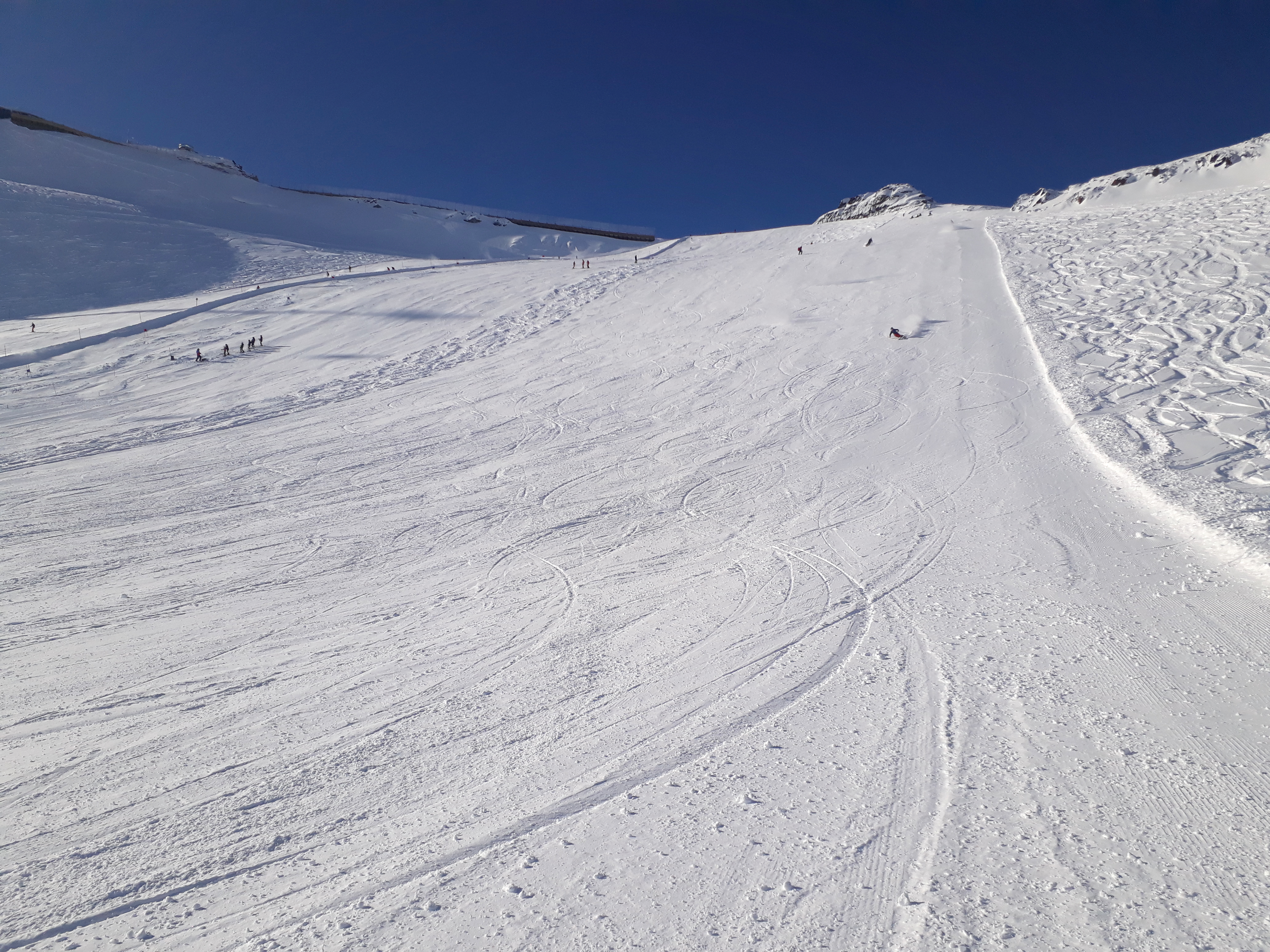 20201018_101203lrjp7.jpg