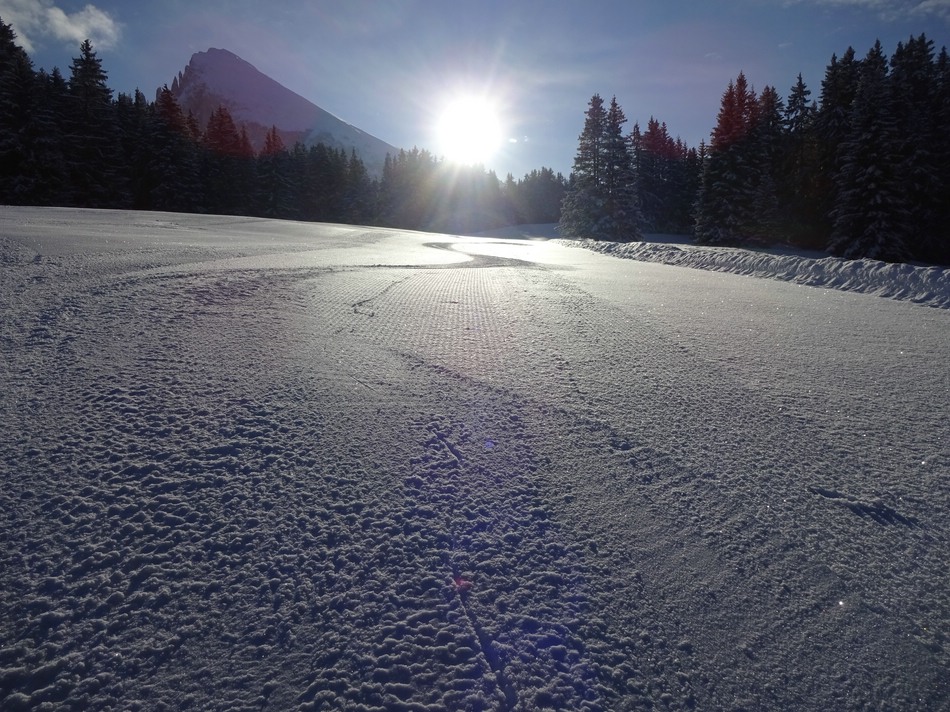 comp_02florianpistebesuu03.jpg