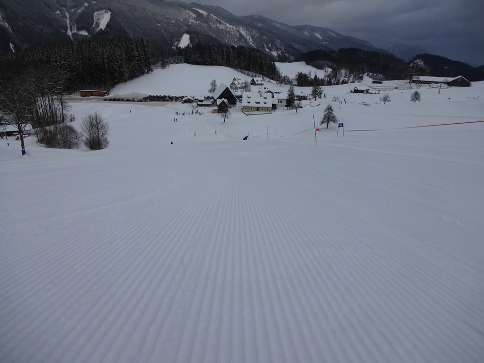 comp_02frischepistelig8k90.jpg