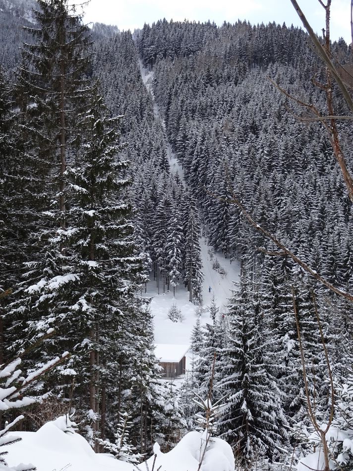 comp_04schneiseliftiig7kq3.jpg