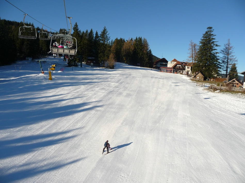 comp_04schwaigwieseobblp0f.jpg