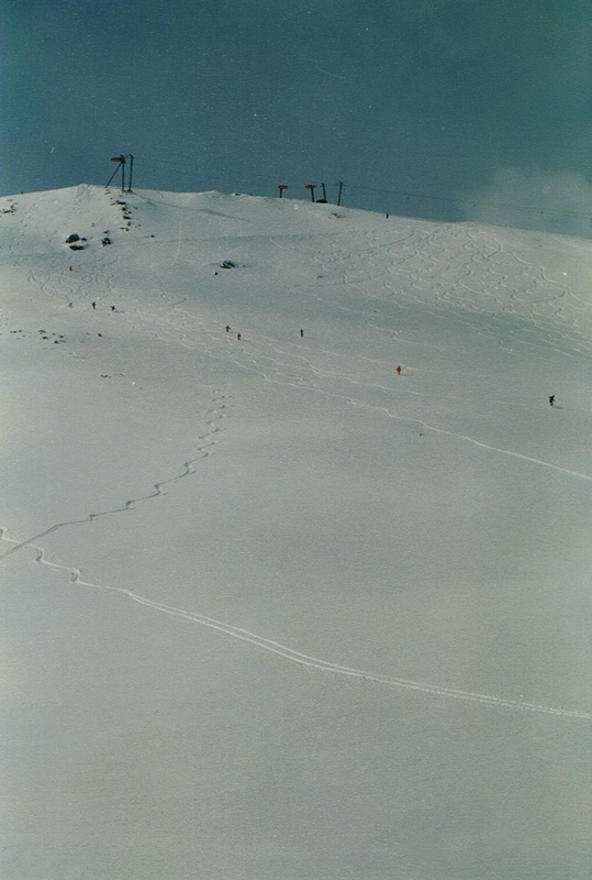 comp_05schwarzwandber08olh.jpg