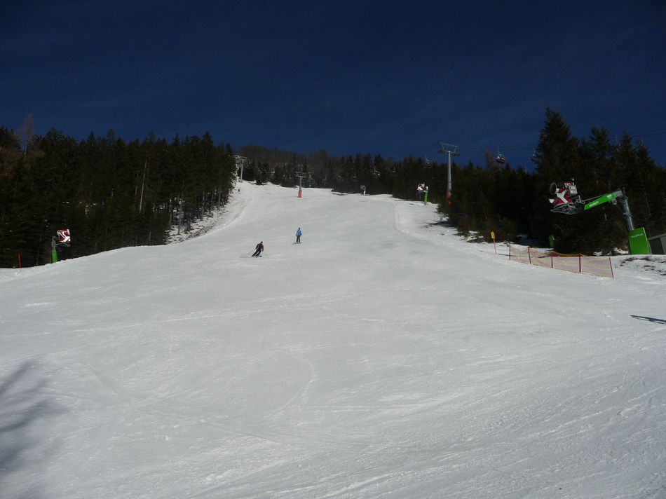 comp_06fisbergblickbfxe6.jpg