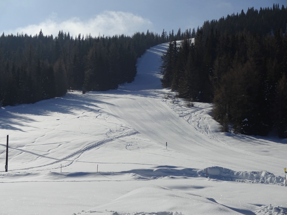 comp_07grebenzenschuswxsi8.jpg