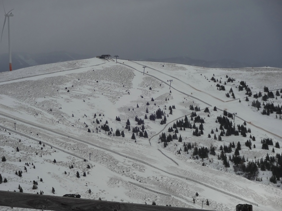 comp_07schoenbergblicqselr.jpg