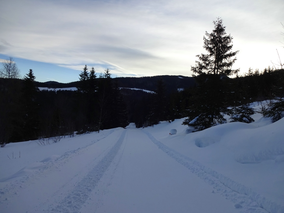 comp_08schiwegdskvv.jpg