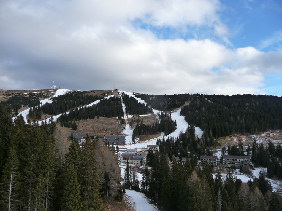 comp_09schoenbergschljrrrc.jpg