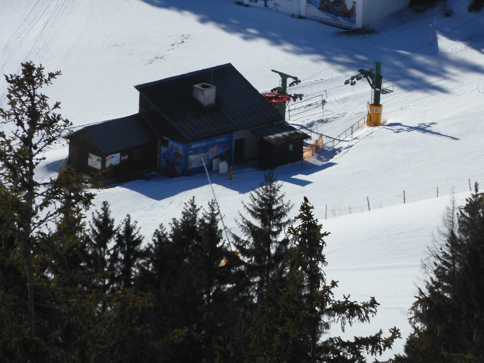 comp_10weidtalzoomtalpwk7a.jpg