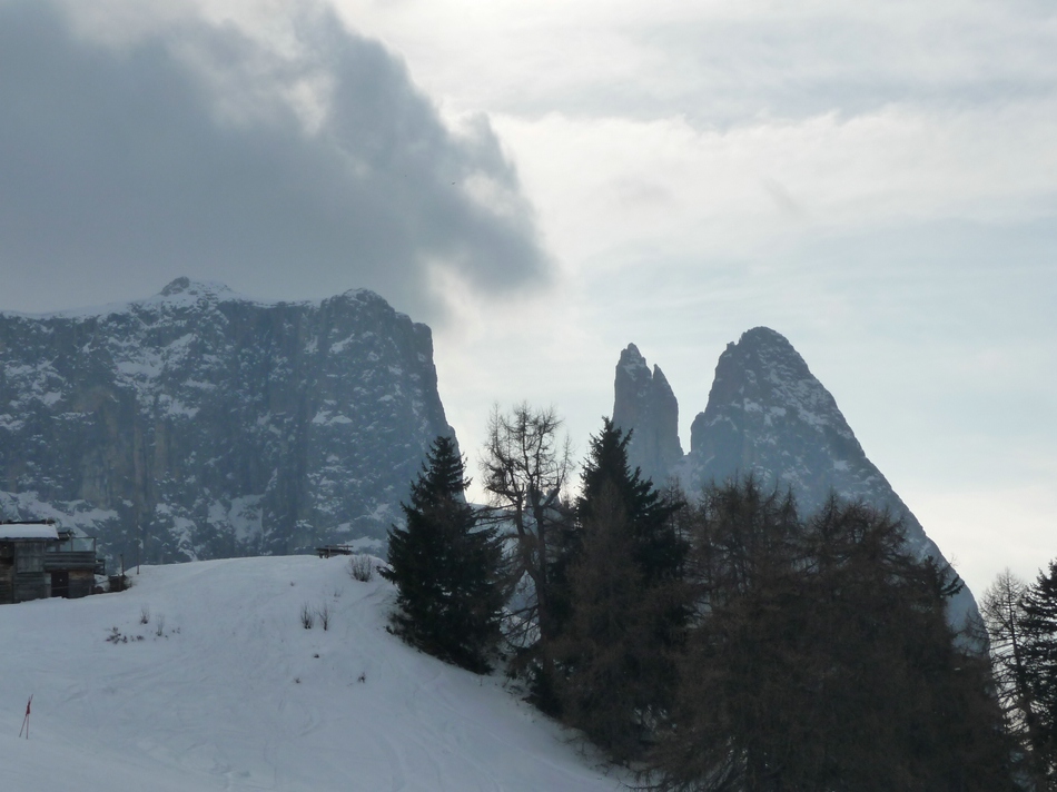 comp_11schlerndrachenuks0b.jpg