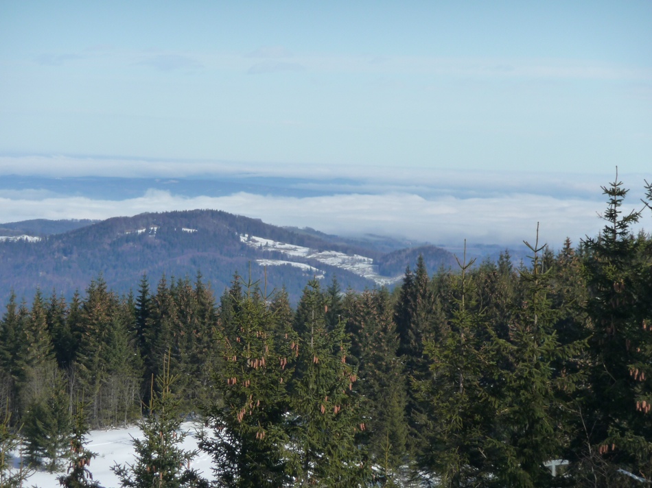 comp_14talnebel13dl5a.jpg