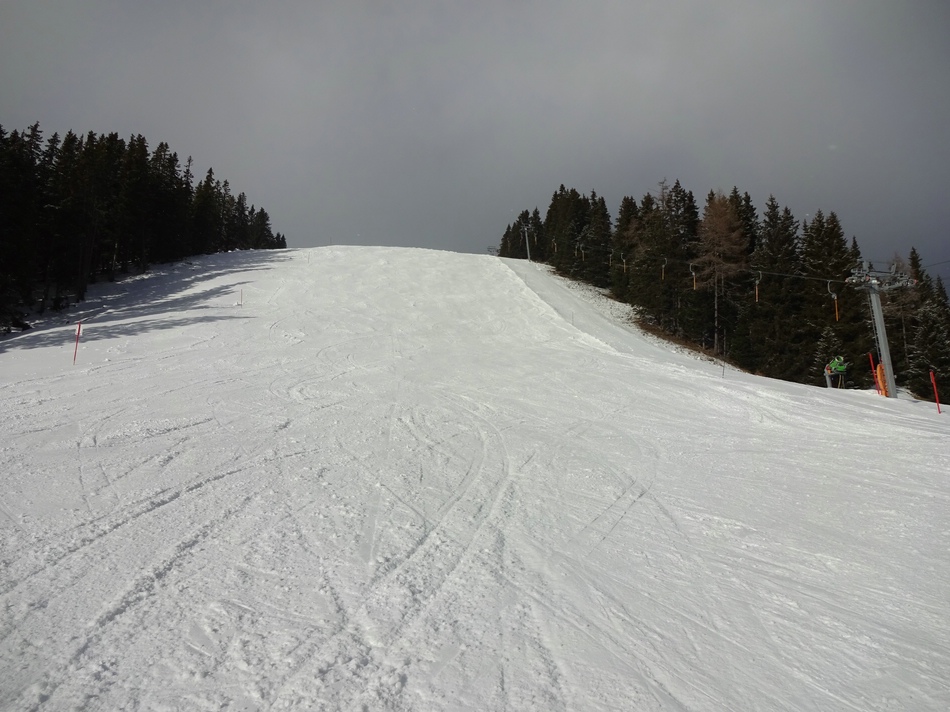 comp_15laerchenschuss9nfrl.jpg