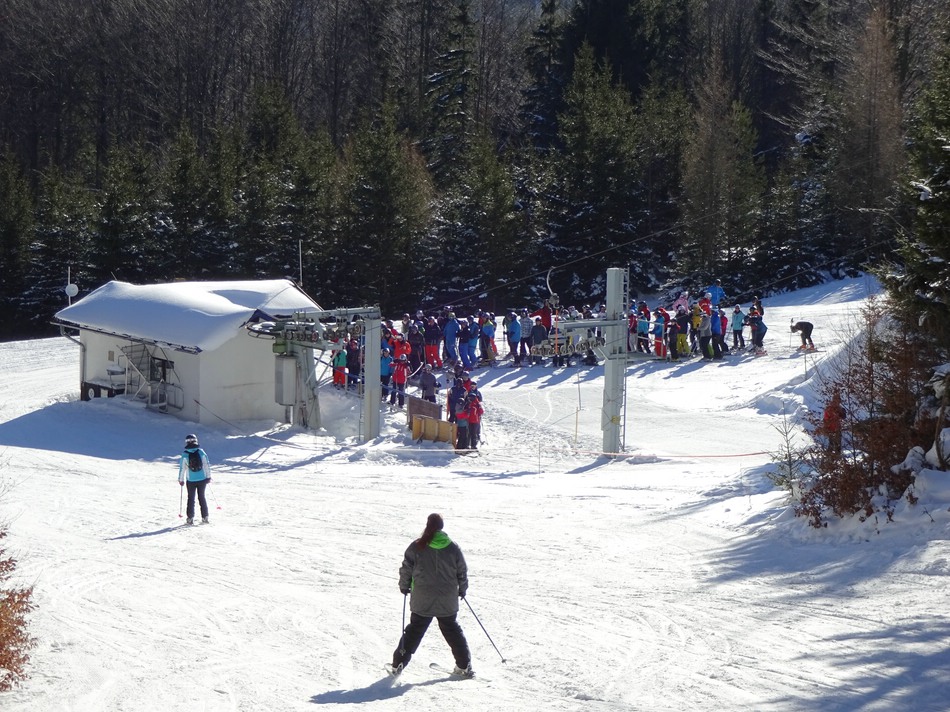 comp_17karnerbodentaljtsnw.jpg