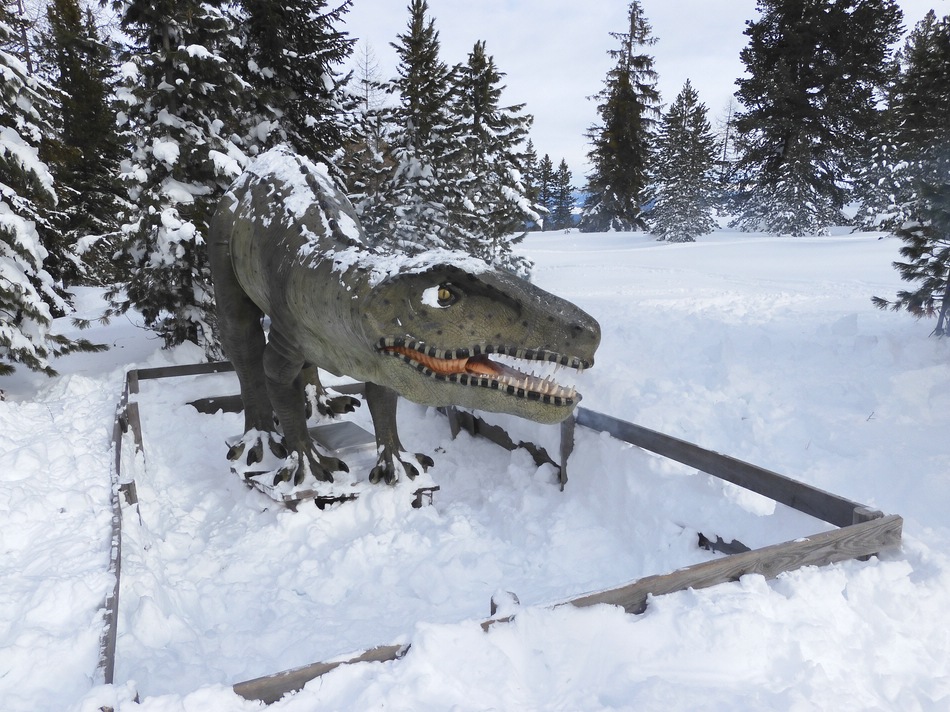 comp_18dinoomch5.jpg