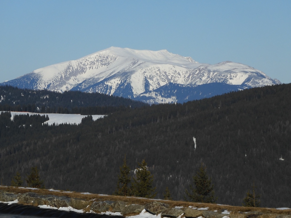 comp_19schneebergafjhb.jpg