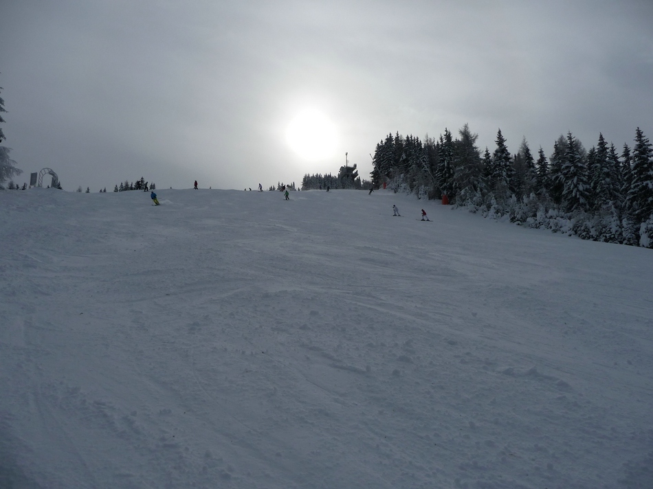 comp_23damenwmpistebe7jscz.jpg