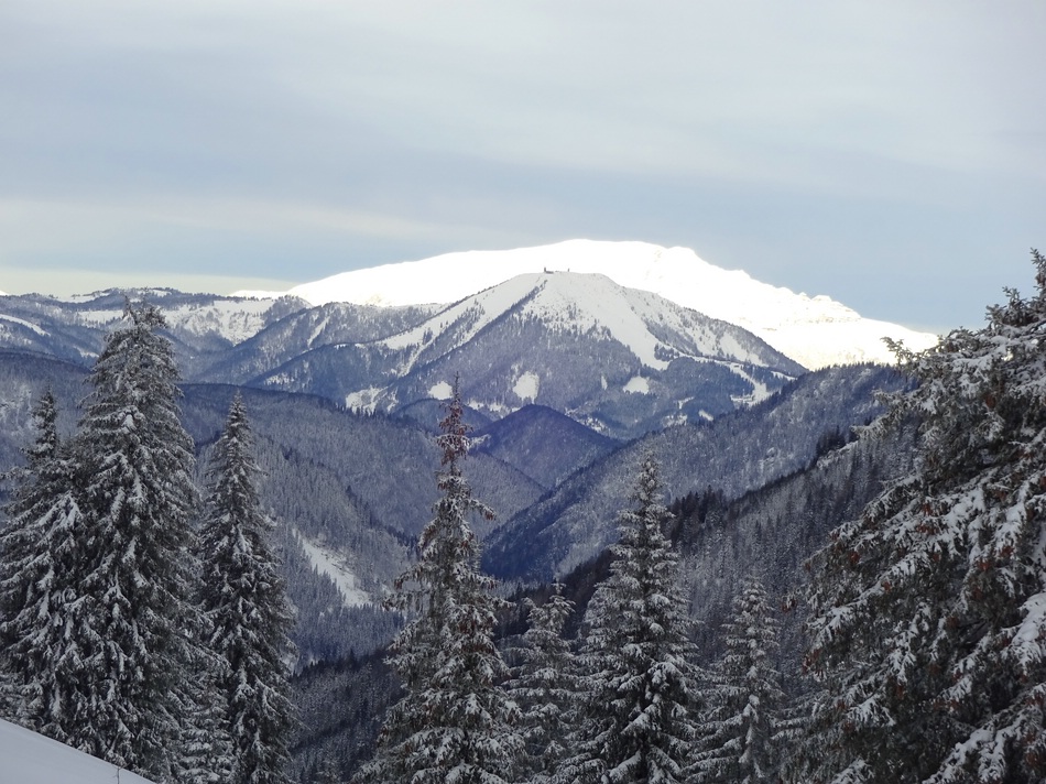 comp_24oetscherblick53dho.jpg