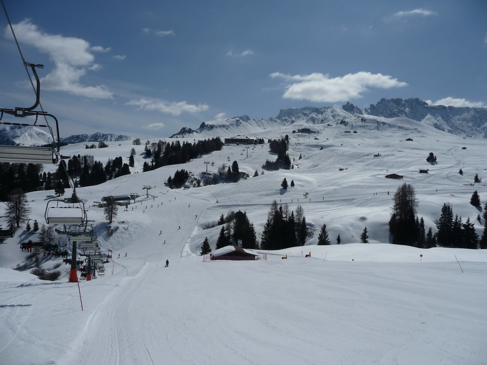 comp_25bambyparadisobjbu18.jpg
