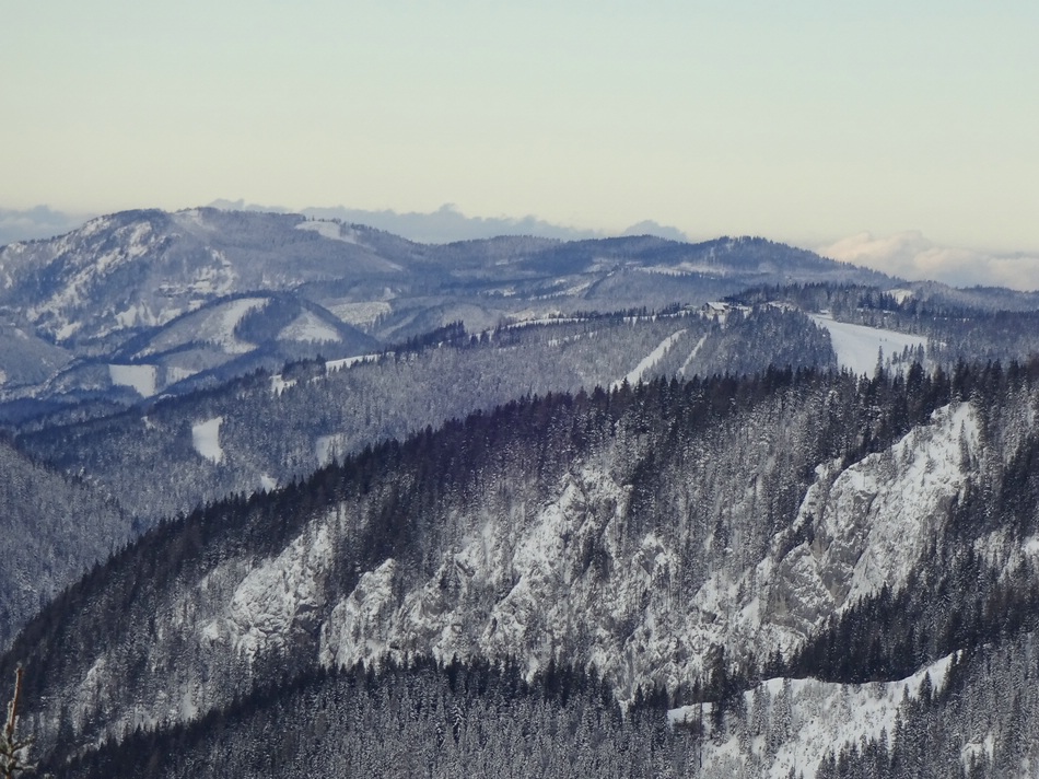 comp_25buergeralpenblyjdao.jpg