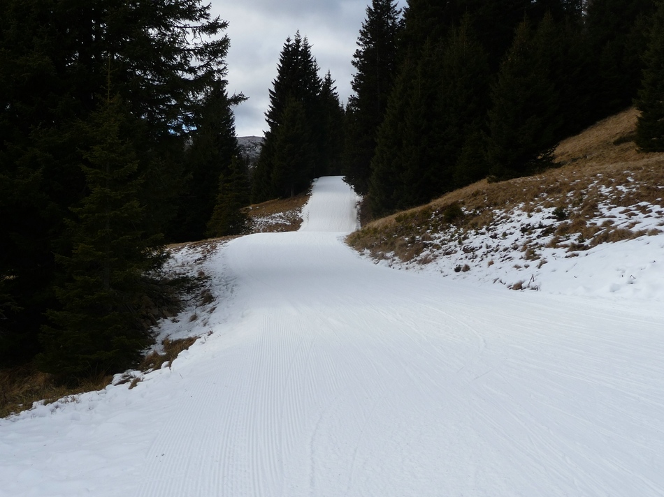 comp_28kleinlachtalpidcopw.jpg