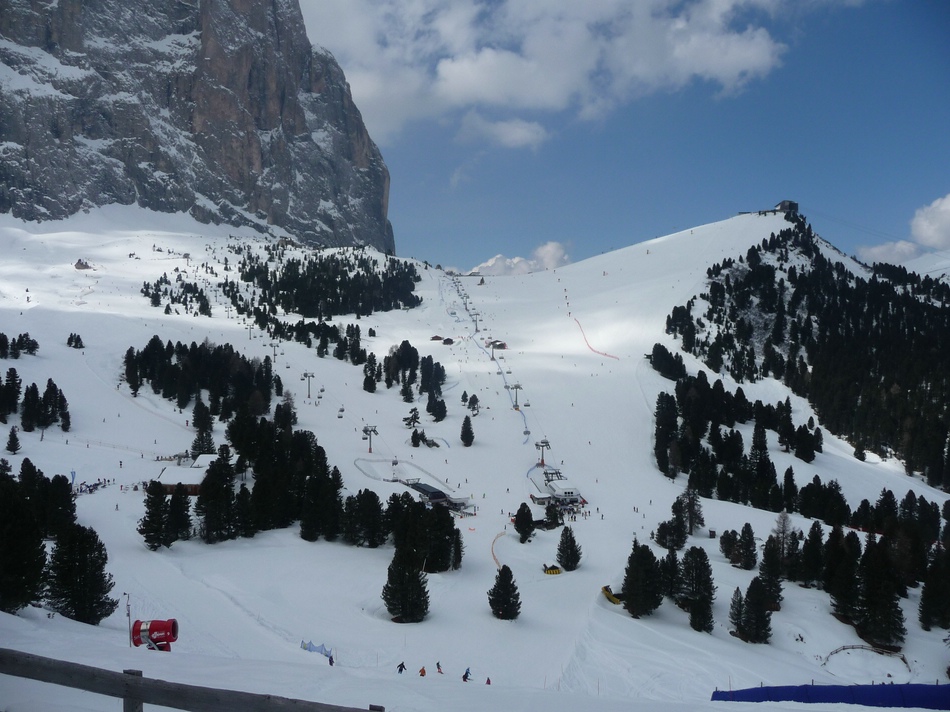 comp_28seteurpizsella6vss9.jpg