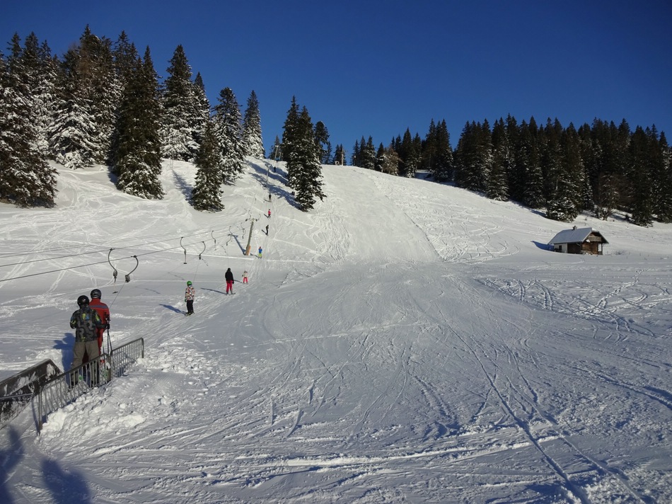 comp_29beiwetterinalmshids.jpg