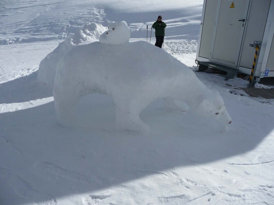 comp_29eisbaer2ivlwx.jpg