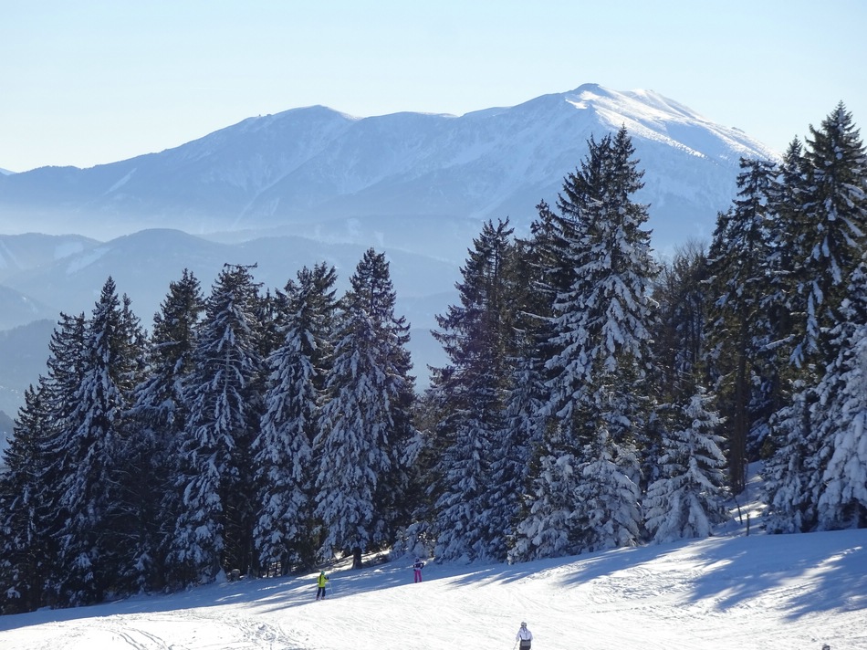 comp_29winterbaeumesc4cszk.jpg