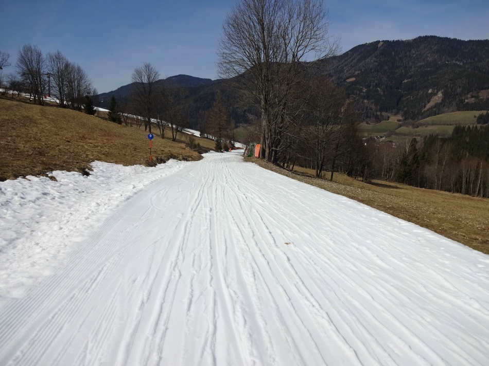 comp_33schiwegneunpxyo6.jpg