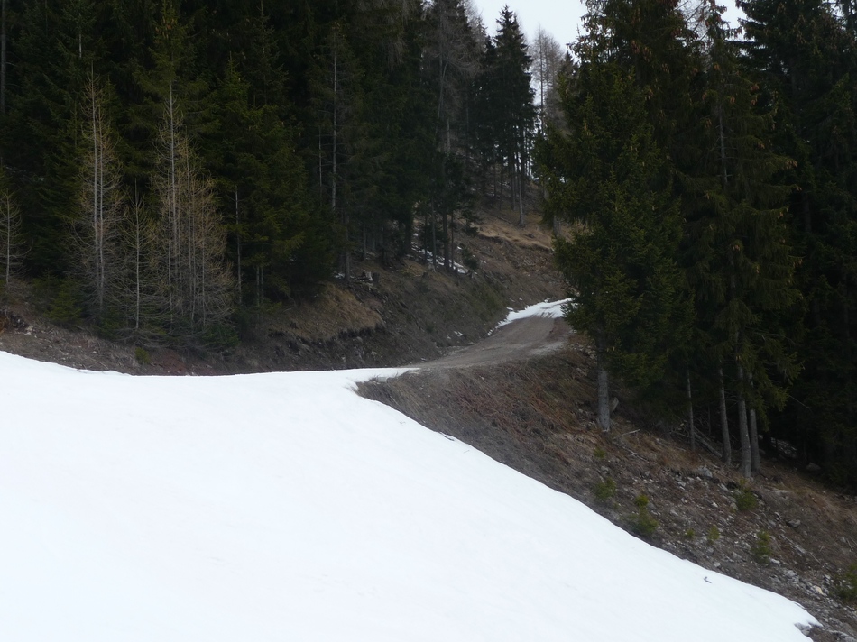 comp_38birkiweguntenslhsdd.jpg