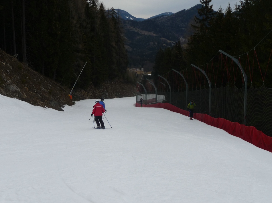 comp_39schiwegnachrenj7sd9.jpg
